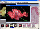 Biomedical Applications