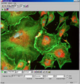 Pixera Viewfinder
