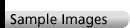 SampleImages_grey.gif (584 bytes)